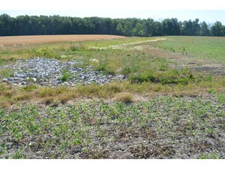Property photo 10 - 108 +/- Acres Offered in 2 Tracts - Land Auction
